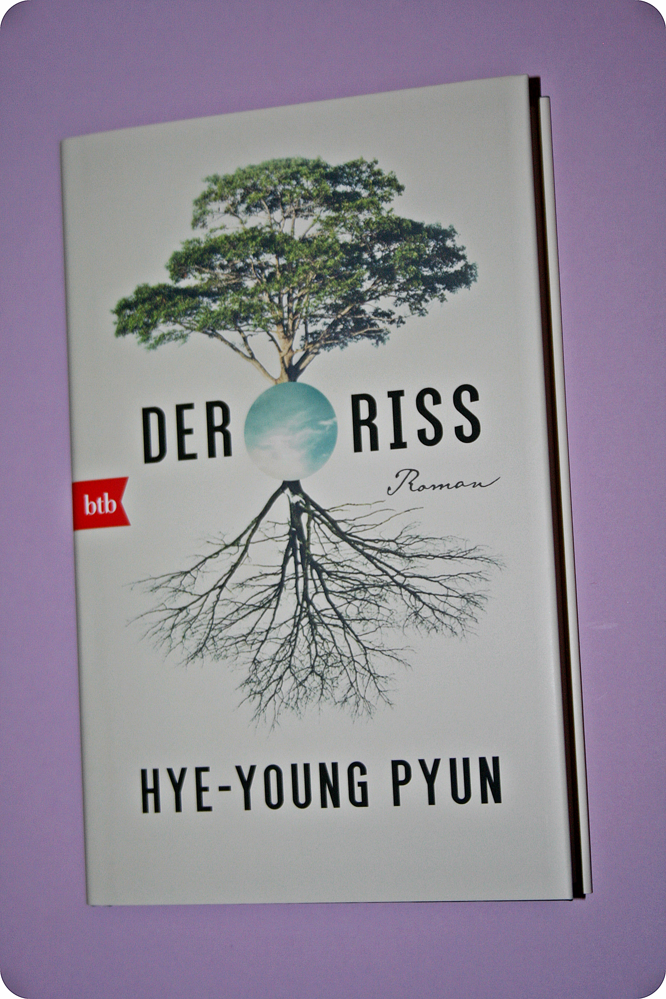 Kurzrezension Der Riss Von Hye Young Pyun